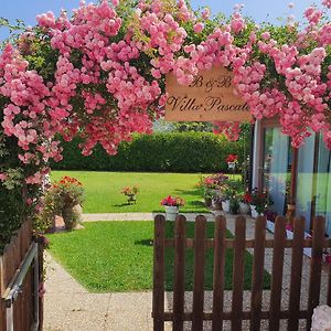 Villa Pascale - B&B - Casa Vacanze